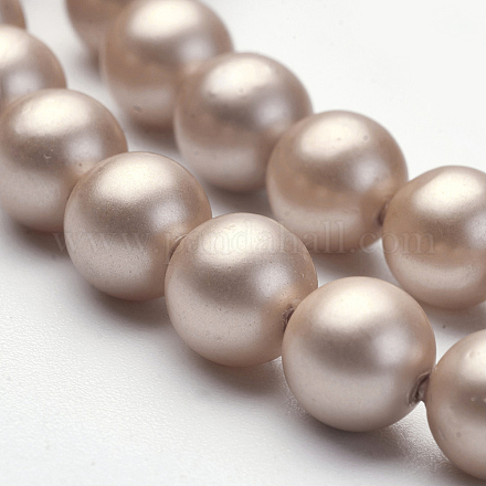 Cuentas de perlas de imitación de concha BSHE-F0014-6mm-18-1