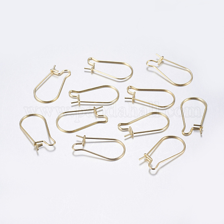 304 Stainless Steel Hoop Earrings STAS-L198-15B-G-1