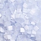 MIYUKI TILA Beads, Japanese Seed Beads, 2-Hole, (TL2563) Silk Pale Light Lavender, 5x5x1.9mm, Hole: 0.8mm, about 1180pcs/100g
