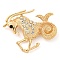 Golden Zinc Alloy with Rhinestone Brooches, Twelve Constellations, Capricorn, 44.5x52x10mm