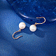 Boucles d'oreilles avec pendentif en 925 argent sterling CN7492-3