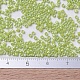 Perles miyuki delica petites SEED-X0054-DBS0169-4