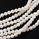 Chapelets de perles de coquillage naturel PRB001Y-3