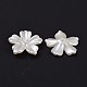 5-Petal Flower ABS Plastic Imitation Pearl Bead Caps OACR-R016-21-2