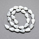 Howlite naturelle brins de perles de pierres précieuses G-T004-19-2