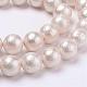 Arrugado textura perla shell perlas hebras BSHE-E016-8mm-07-1