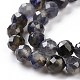 Natural Iolite Beads Strands G-P488-02B-4