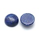 Lapis naturali cabochons Lazuli X-G-P393-R11-14mm-2