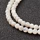 Shell normal de perles blanches de brins G-G680-54-3