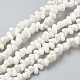 Chapelets de perles en coquille de spirale naturelle X-BSHE-I011-11C-1