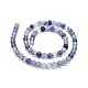 Natural Fluorite Beads Strands G-I249-B02-01-2