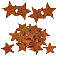 GORGECRAFT 30PCS 1.77 Inch Metal Rusty Barn Star Saddle Brown Antique Primitives Rustic Country Tin with 1.2mm Hole Iron Stars Accents for DIY Crafts Vintage Farmhouse Home Wall Decor Accessories IFIN-GF0001-23-1