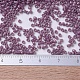 MIYUKI Delica Beads SEED-X0054-DB0265-3