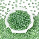 Прозрачное стекло Бисер SEED-N007-33B-07-2