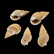 Colgantes de concha de caracol SSHEL-R036-19-1