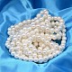 Chapelets de perles ronde de coquillage de couleur AB BSHE-L011-6mm-C001-2