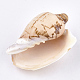 Perles de coquillages en spirale SSHEL-T005-05-2