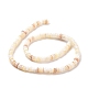 Perlas de concha hebras SSHEL-E571-49I-4