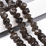 Abalorios de cuarzo ahumado naturales hebras, rondelle facetas, 12~16x12~16x7~12mm, agujero: 0.9~1.2 mm, aproximamente 39~44 pcs / cadena, 15.16~15.75 pulgada (38.5~40 cm)