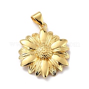 Кулоны из экологически чистой латуни KK-D066-31G-RS