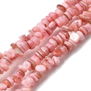 Бусины из натуральных пресноводных ракушек SHEL-B003-01N