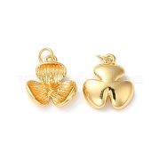 Стойки обшивки латунные подвески KK-D074-29G