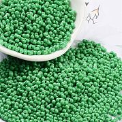 Выпечка краска стеклянные бусины SEED-A033-05Q