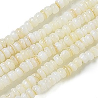 Tinti d'acqua dolce naturale perline shell fili&nbsp;X1-BSHE-G039-07N