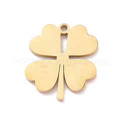 Anhänger aus Edelstahl 304&nbsp;STAS-R119-06G