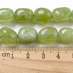 Chapelets de perles en jade de malaisie naturelle&nbsp;G-P528-N01-01