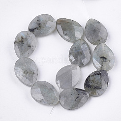 Natur Labradorit Perlen Stränge&nbsp;X-G-S354-07