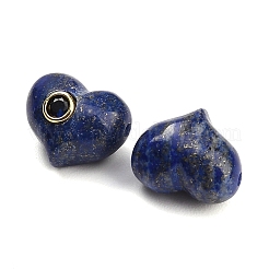 Perles naturelles de lapis-lazuli teints&nbsp;GG-CBACC2B-03B