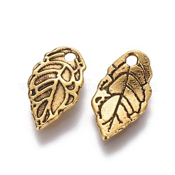 Tibetische Stil Anhänger & Charms&nbsp;TIBEB-A101863-AG-FF