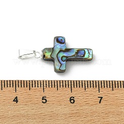 Natürliche Abalone Muschel / Paua Muschel Anhänger&nbsp;PALLOY-JF05394