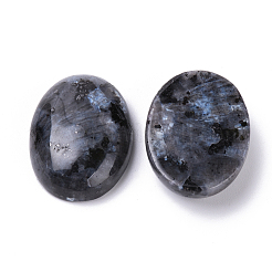 Natur Labradorit Cabochons&nbsp;X-G-T062-19