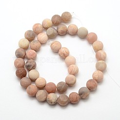 Natürliche sunstone mattierte runde Perle Stränge&nbsp;G-O039-07-6mm