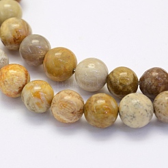 Fossiles naturelle perles de corail brins&nbsp;G-G697-F01-4mm