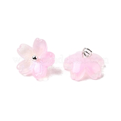 Charms in vetro&nbsp;GLAA-G127-05H