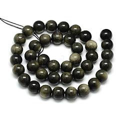Natürliche goldenen Glanz Obsidian Perlen Stränge&nbsp;G-S150-20-8mm