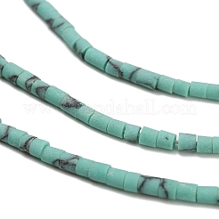 Teints perles synthétiques turquoise brins&nbsp;G-P594-01B-04