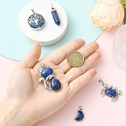 5 pièces 5 styles pendentifs en lapis-lazuli naturel&nbsp;G-YW0003-06B