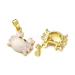 Ottone micro spianare pendenti zirconi&nbsp;KK-F911-18G-02