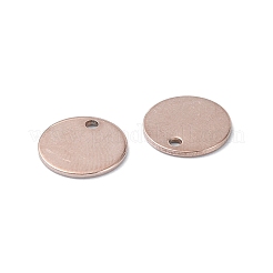 201 breloques en acier inoxydable&nbsp;STAS-H191-04RG