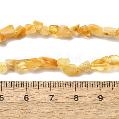 Naturbernsteinperlen Stränge&nbsp;G-I389-A15