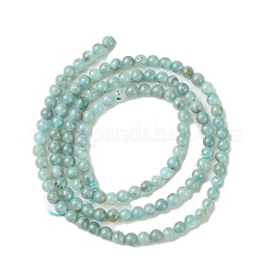 Fili di perline amazonite naturale&nbsp;G-K365-C04-01