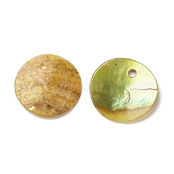 Breloques de coquille Akoya naturelles peintes à la bombe&nbsp;SHEL-F007-15A-04