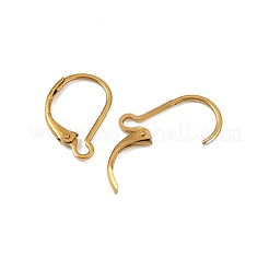 Placcatura ionica (ip) 304 acciaio inossidabile a leva orecchini&nbsp;LS-STAS-K233-04G-01A