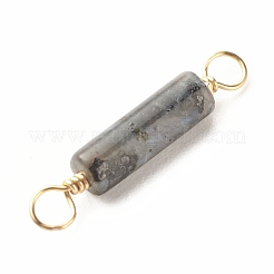 Breloques connecteurs larvikite naturels&nbsp;PALLOY-JF01454-05