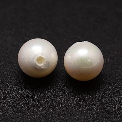 Shell-Perlen&nbsp;X-BSHE-L031-01-8mm
