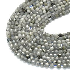 Chapelets de perles en labradorite naturelle &nbsp;G-A260-A44-01B